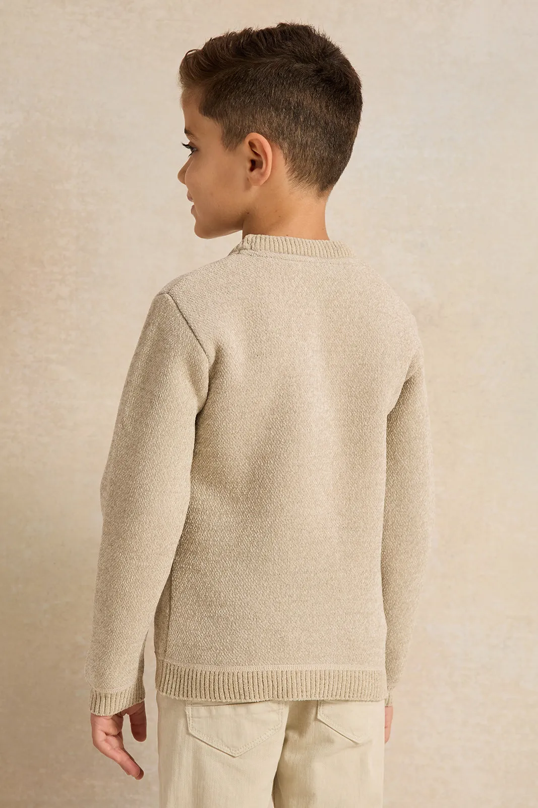 Boys Beige Plain Pullover