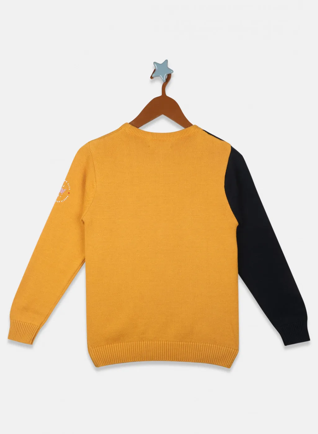 Boys Mustard Plain Pullover