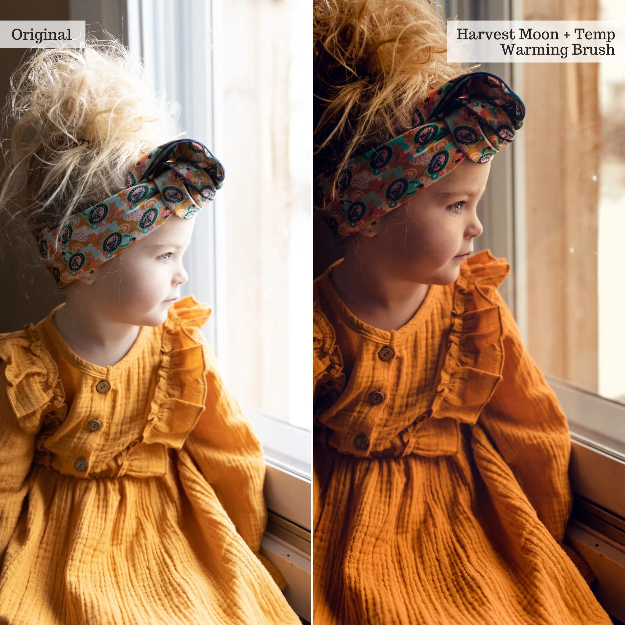 Luxe Touch of Tweed Autumn Lightroom Presets & AI Tools v2.0 – Desktop & Mobile