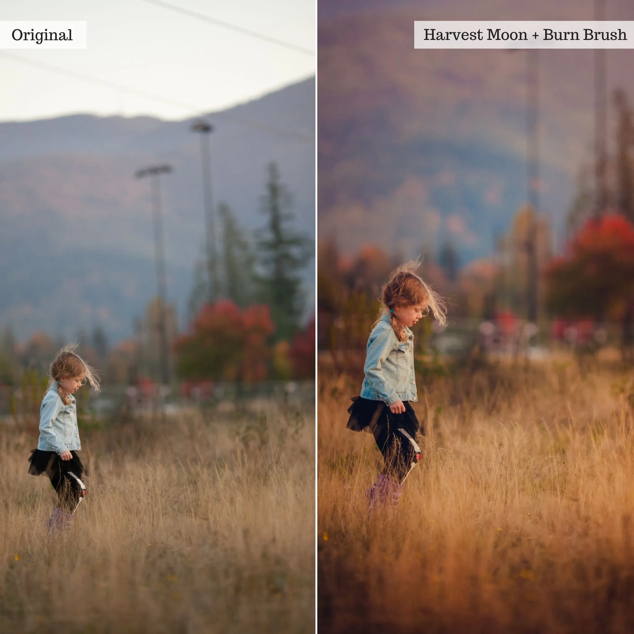 Luxe Touch of Tweed Autumn Lightroom Presets & AI Tools v2.0 – Desktop & Mobile