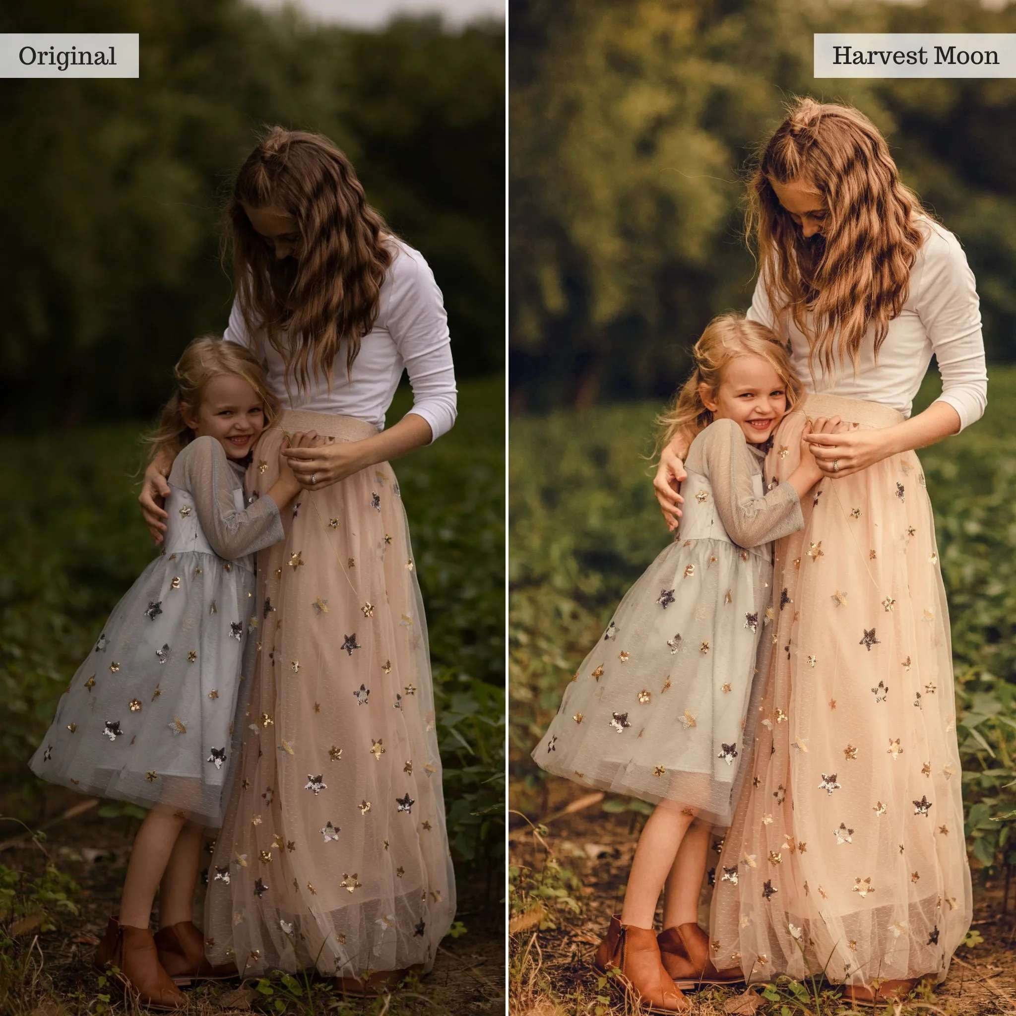 Luxe Touch of Tweed Autumn Lightroom Presets & AI Tools v2.0 – Desktop & Mobile