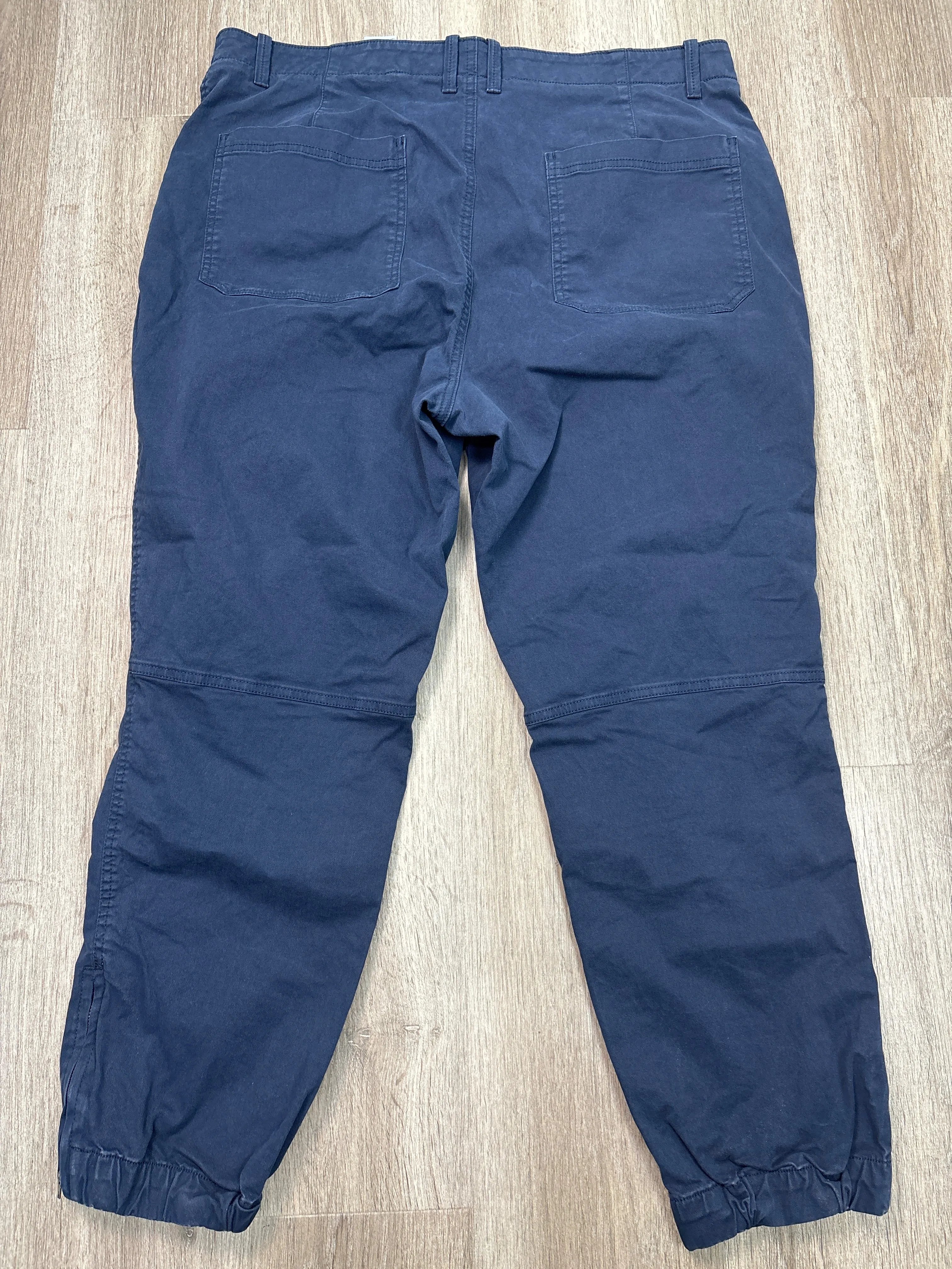 Pants Cargo & Utility By Banana Republic In Blue, Size: Xxl