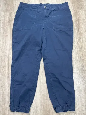 Pants Cargo & Utility By Banana Republic In Blue, Size: Xxl