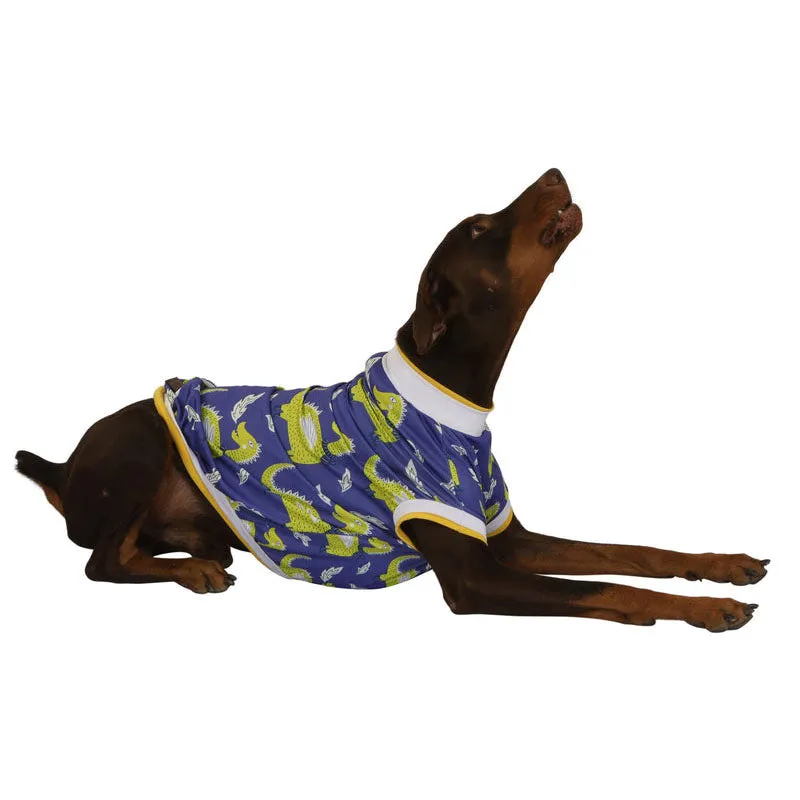 Pawsindia Dracarys T-Shirt For Dog, Blue