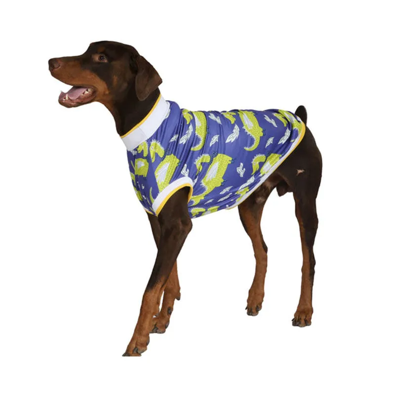 Pawsindia Dracarys T-Shirt For Dog, Blue