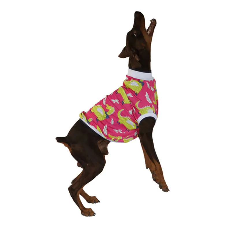 Pawsindia Dracarys T-Shirt For Dog, Pink