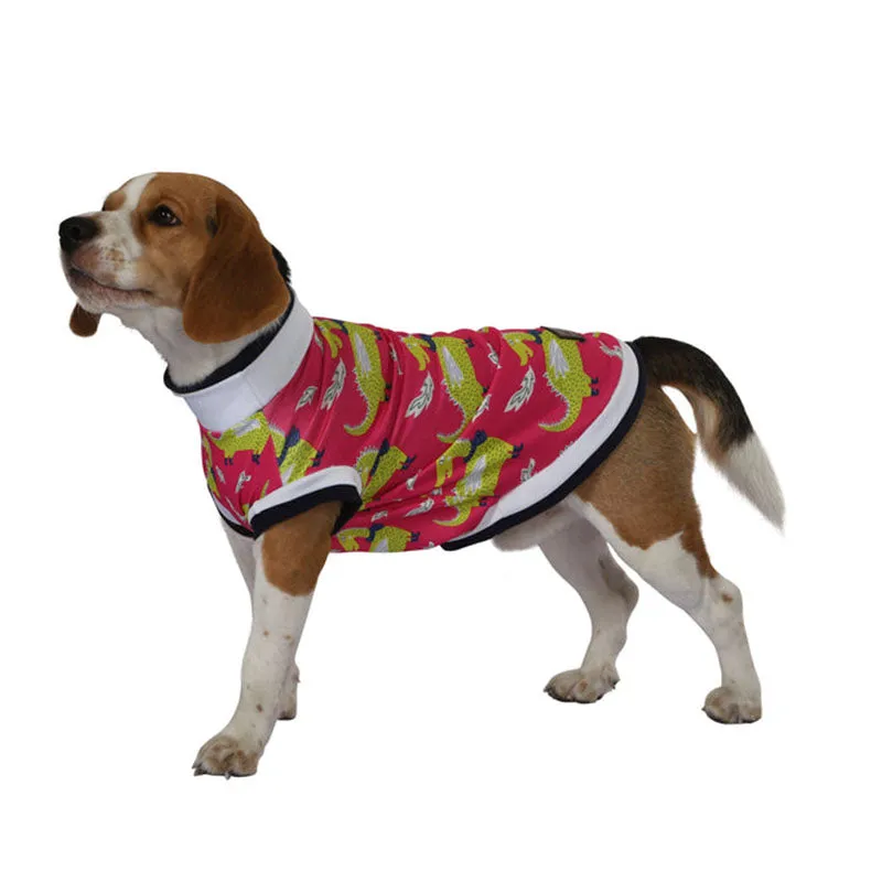 Pawsindia Dracarys T-Shirt For Dog, Pink