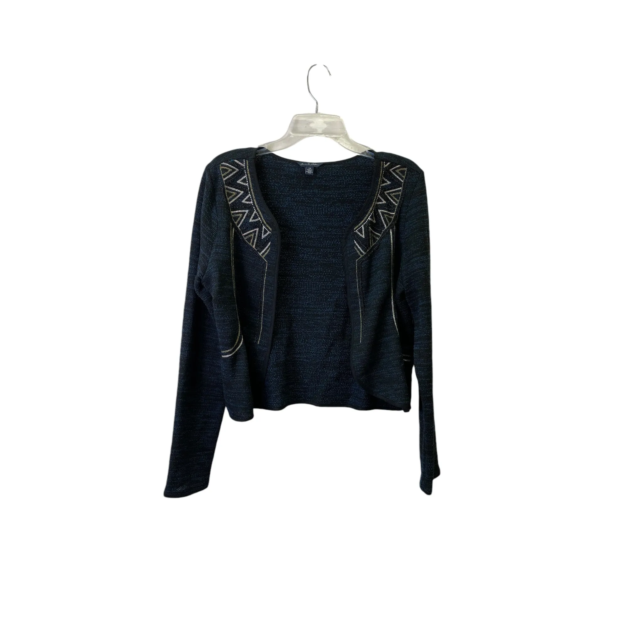 Sweater Cardigan By American Eagle In Blue, Size:L